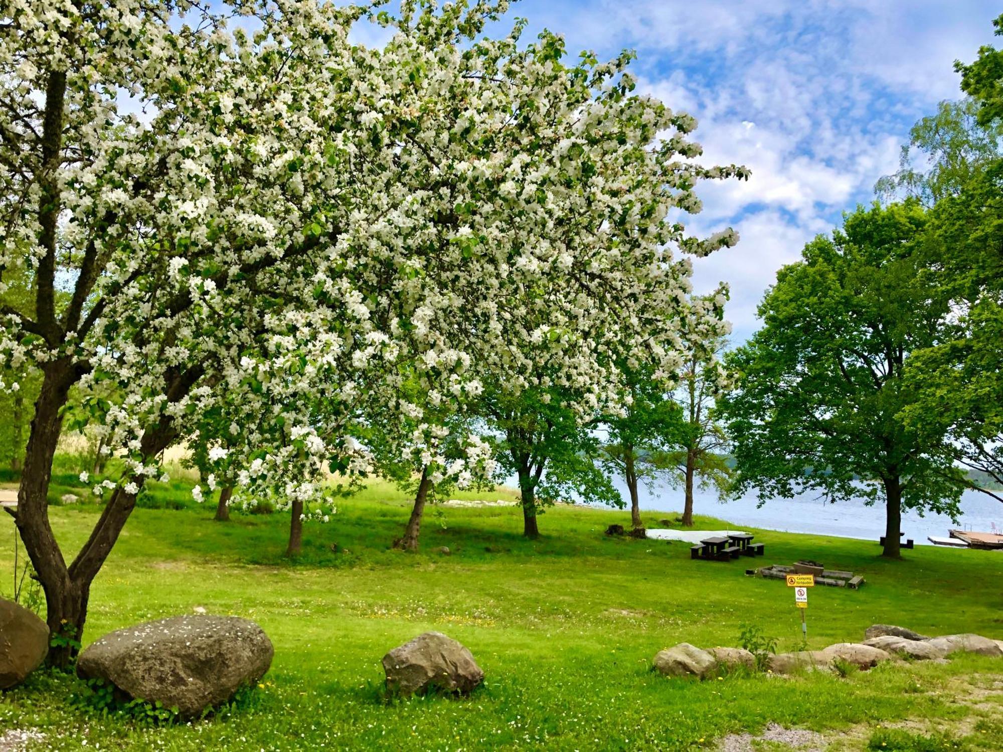 بيت شباب Marsbaecken Västervik المظهر الخارجي الصورة